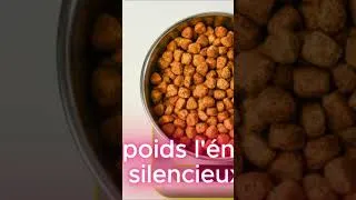 Miniature : Short 6/8: Le Facteur N°1 Pour la Santé du Dos de Ton chien !🔥
