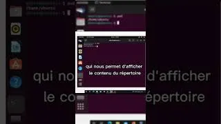 Miniature : Les Bases des commandes Linux Partie 1