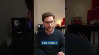 Miniature : une faute dans la constitution !