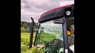Miniature : Vendanges - De la vigne au chai