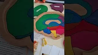 Miniature : petit tour de nos activités aux FSC 2025