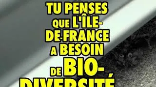 Miniature : BIODIVERSITÉ