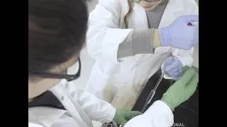 Miniature : Le CiSA, c'est... les sciences!