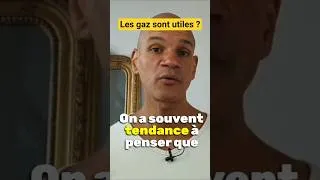 Miniature : Les gaz intestinaux ont un rôle important