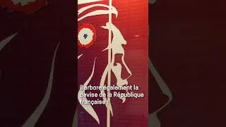 Miniature : Nouvelle décoration pour la salle Aurélia Trifiro !