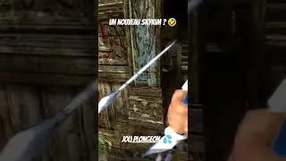 Miniature : Quand t'as trop joué à Skyrim... 🤣 🤣 #skyrim #fusrodah #darkmessiahofmightandmagic