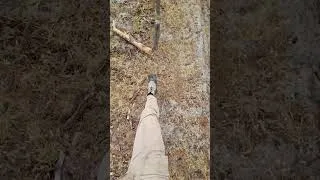 Miniature : l'épreuve des poto