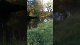Miniature : Ouverture de pêche et brochet