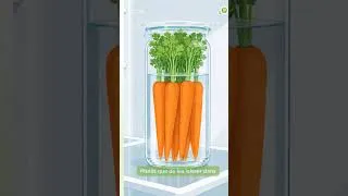 Miniature : 🥬 5 légumes que tu ranges mal (et qui pourrissent en 3 jours) #Shorts