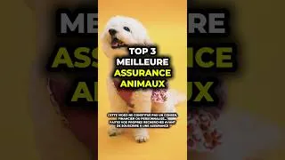 Miniature : TOP 3 MEILLEURE ASSURANCE POUR ANIMAUX ! (Chat, chien, Lapin et autre)