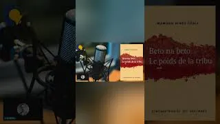 Miniature : La méritocratie africaine