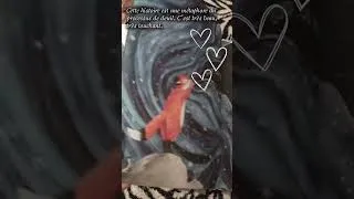 Miniature : Chronique du livre pour enfant : Où es-tu Loup ? #litteraturejeunesse