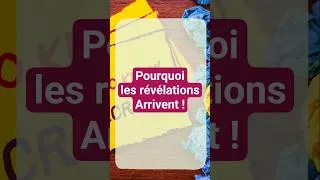 Miniature : Pourquoi les révélations arrivent ? #vibration #matrices #fréquences #fyp
