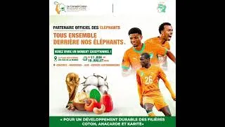 Miniature : 🐘 TOUS ENSEMBLE DERRIÈRE NOS ÉLÉPHANTS ! #fyp  #pourtoi  #viralpost
