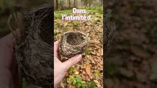 Miniature : Nature