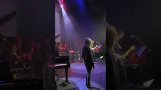 Miniature : November Rain 3