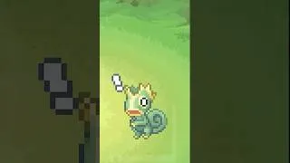 Miniature : CE POKÉMON EST UNIQUE AU MONDE !