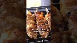 Miniature : Mangez des brochettes avec du goût ! Tex-Mex, Tandoori et Yakitori