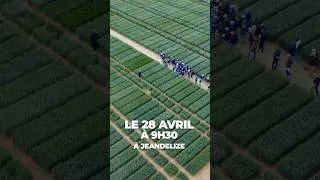 Miniature : Rdv le 28 avril prochain à Jeandelize pour les expertises végétales EMC2