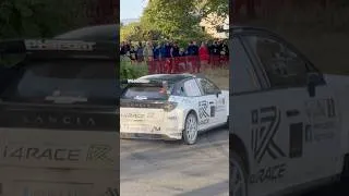 Miniature : M potty #lancia #rally