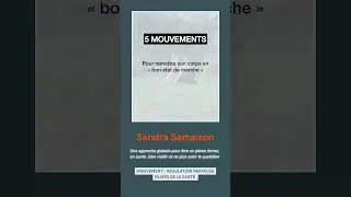 Miniature : 5 TYPES DE MOUVEMENTS pour remettre votre corps en « bon état de marche »
