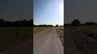 Miniature : Racing Through Summer-Burnt Fields