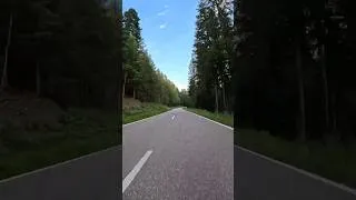 Miniature : Flying Through the Black Forest