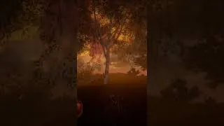 Miniature : Rising World - Après l'orage & Coucher de Soleil