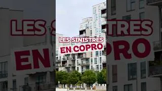 Miniature : Les sinistres en copropriété #copropriété #syndicat #sinistre #immobilier