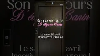 Miniature : Courchevel présente son concours d'élégance canin - le samedi 18 avril Inscrivez vos toutous ! 🐕
