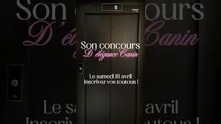 Miniature : Courchevel présente son concours d'élégance canin - le samedi 18 avril Inscrivez vos toutous ! 🐕❤️