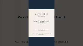Miniature : Camouflet