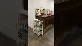 Miniature : Visite de l'atelier Cours de peinture Mixarts #art #peinture #painting #studio