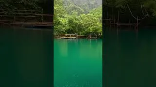 Miniature : #nofilterneeded The Sound of Rain falling that covers the Forest & River with Natural Sound 🌧️