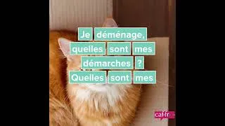 Miniature : L'aide au logement - Caf & CPAM de la Vendée