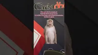 Miniature : Le mood de nos clients devant leur ordinateur 🧑‍💻 quand il commande sur creadhesif.com 👀