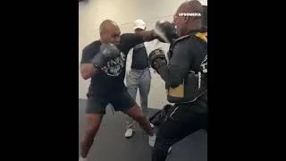 Miniature : Mike Tyson lance un pic à Jake Paul #boxingbattle #heavyweightshowdown #motivation #miketyson