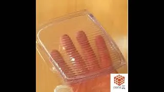 Miniature : impression 3D transparente translucide - Créative 3D - #impression3d  #fabricationadditive