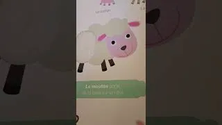 Miniature : Les animaux de la ferme