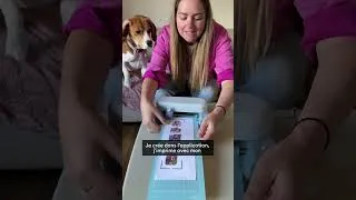 Miniature : Des stickers à l’effigie de votre chien 🐶