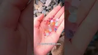 Miniature : Un chat porte bonheur qui a enrichi son propriétaire