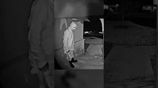 Miniature : Un homme étrange sonne à la porte la nuit… la tension monte rapidement [CRUEL. DoorCam #06]