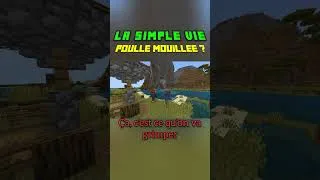 Miniature : Poule Mouillée | La Simple Vie #minecraft