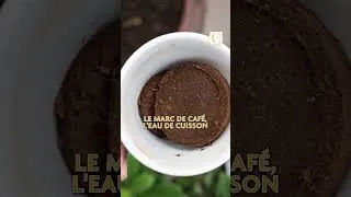 Miniature : Fertiliser les rosiers en mars ? ( Les meilleures pratiques )