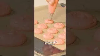 Miniature : Macarons à la Framboise | Michel Portos | Cuisine M