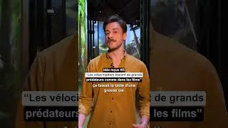 Miniature : 5 idées reçues sur les dinosaures par Romain Pintore, paléontologue