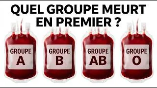 Miniature : Chaque groupe sanguin a un secret… voici le vôtre
