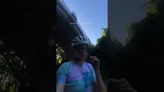 Miniature : Je ne sais pas lequel de nous deux a eu le plus peur 🦌