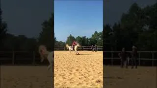 Miniature : Premier Go avec Bonnie (Barrel Racing)