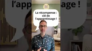 Miniature : Tu donnes des friandises à ton chat, mais tu le fais probablement pas comme il faut !